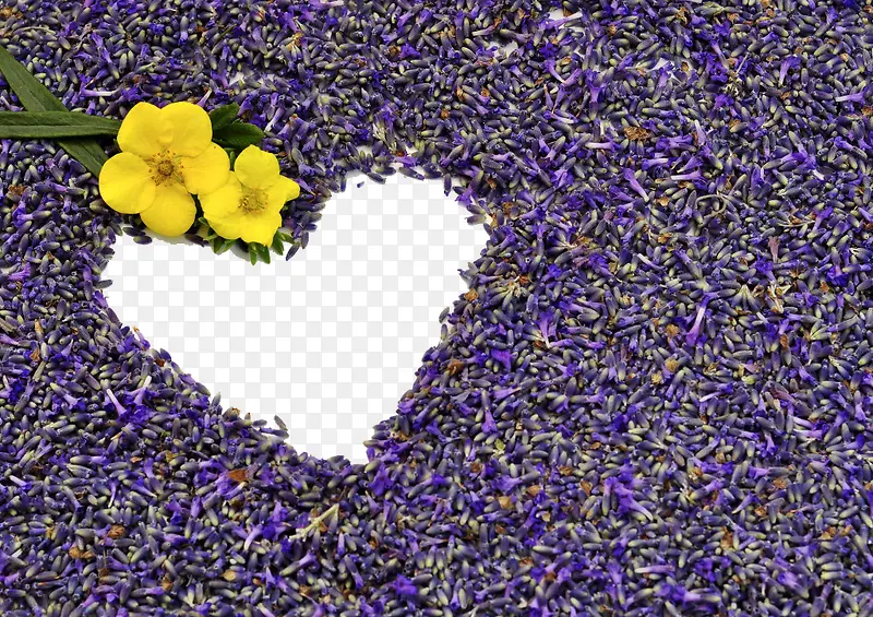 ޹�²����ͼ-������