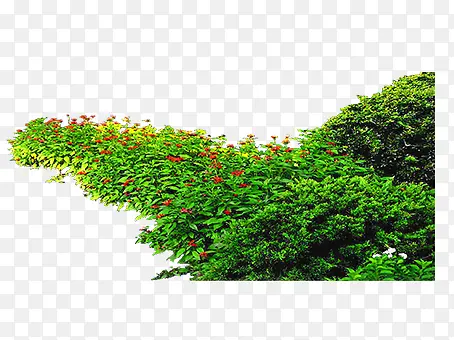 �����̲�԰�����Ԫ��-������