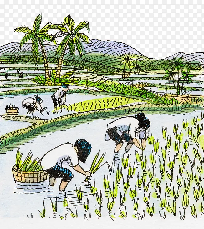 �ֻ��ͼũ�ز���ũæ����-������