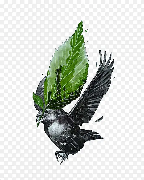 �ڰ���ҶС��廭-������