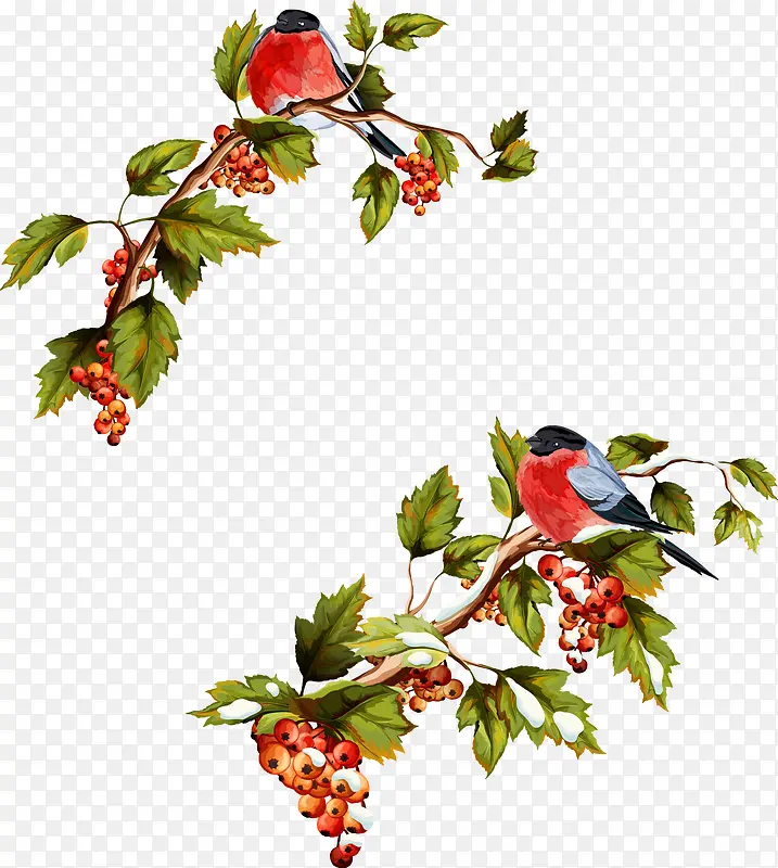 ��֦�ϵ�С��-������