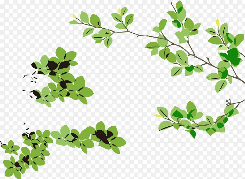 ������ɫ����Ҷ��PNGʸ���ز�-������