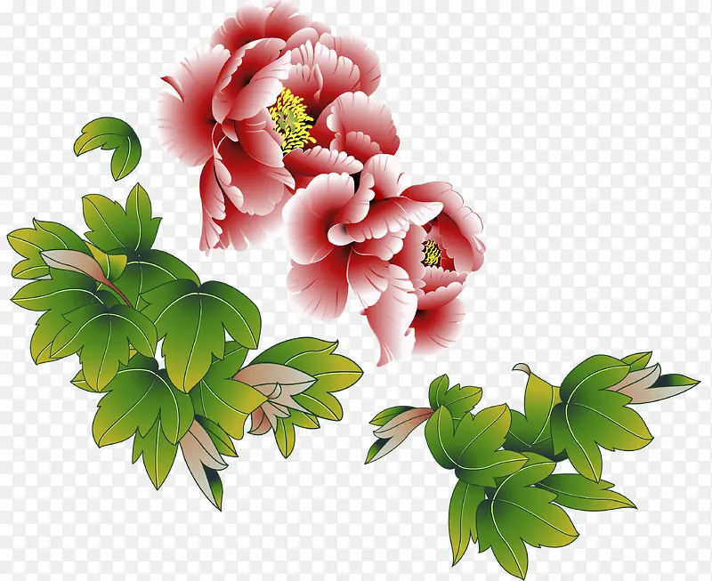 �ʻ�����Ҷ-������