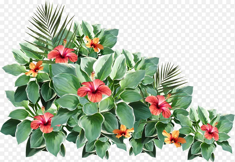 ����Ҷ��-������