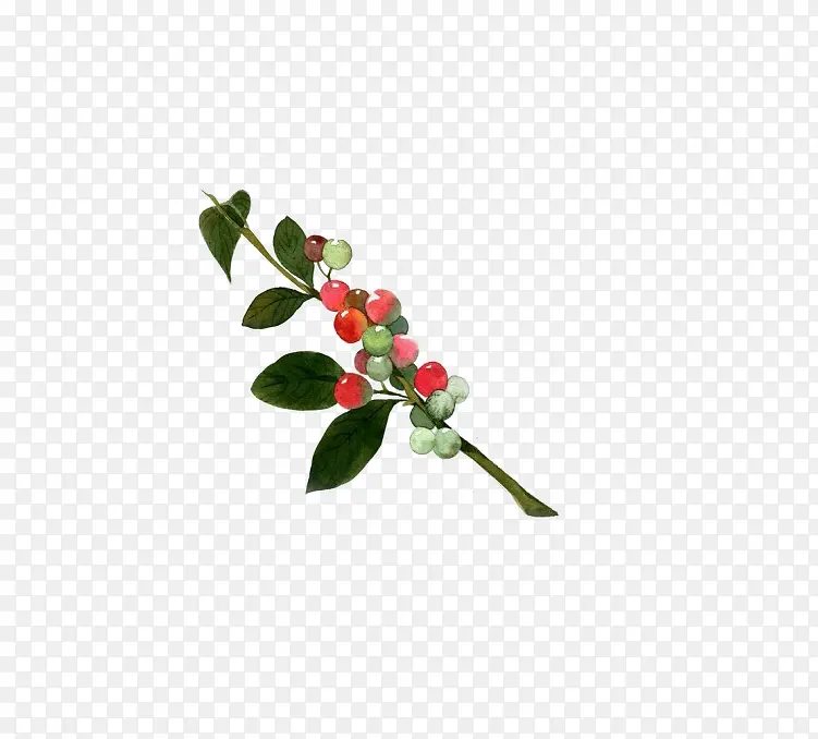 �ֻ�ӣ��-������