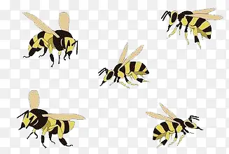 ��ͨ�۷��ز�-������