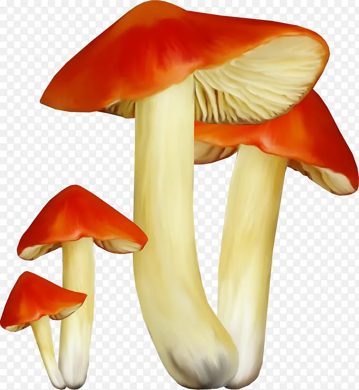 �ֻ�Ģ��-������