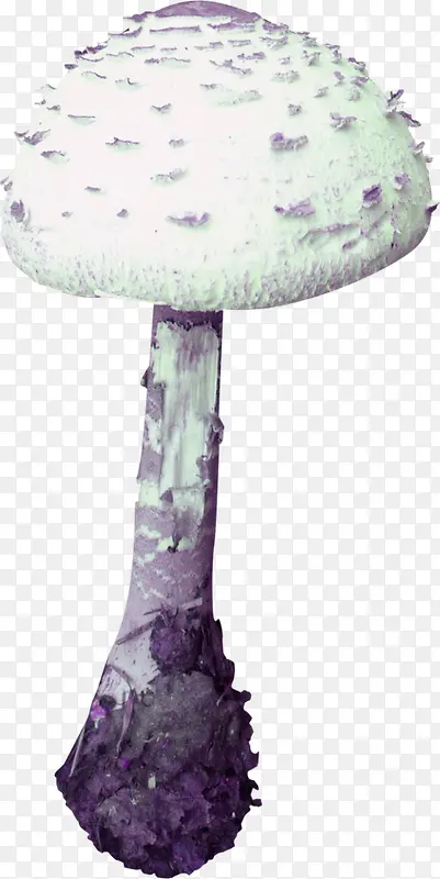 ��ɫ��Ģ��-������