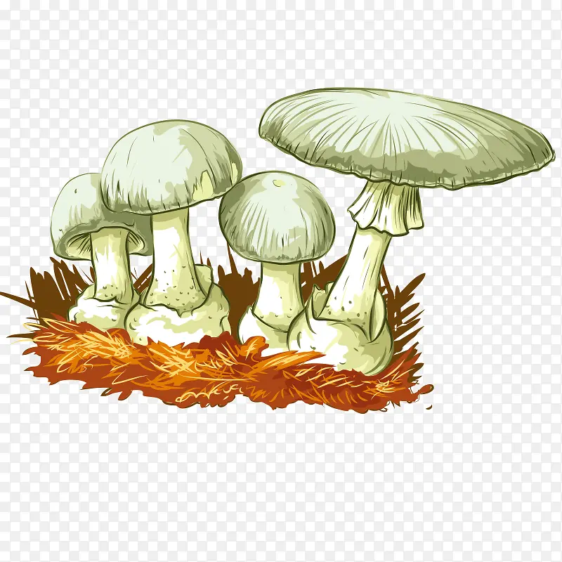 �ֻ�Ģ�� ʳ�� �ݹ� ֲ�� ʳƷ-������