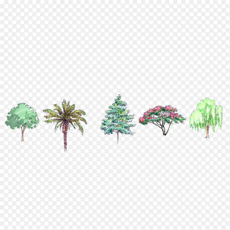 ˮ���ֻ�ïʢ����Ҷ-������