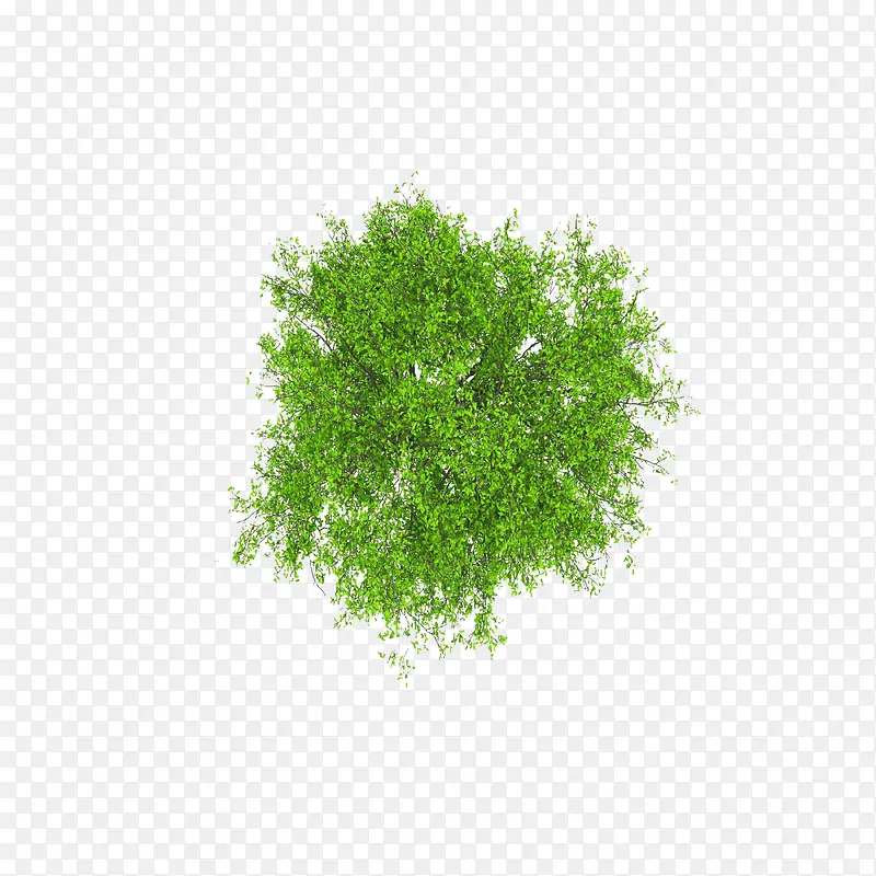 ��������������-������