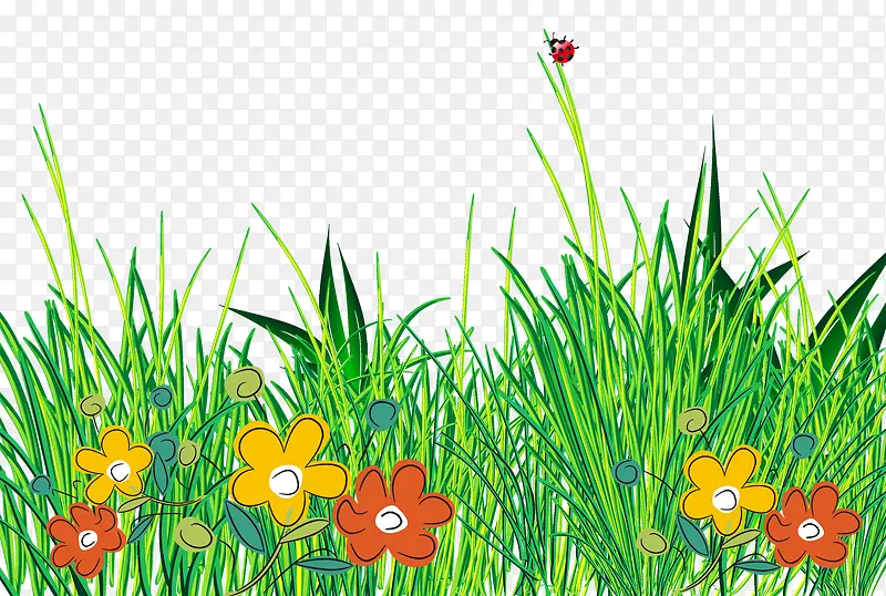 ��ɫ�ֻ�С�����ʻ�С��-������