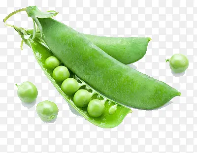 �ⶹ-������