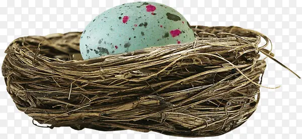 ��ɫ��-������