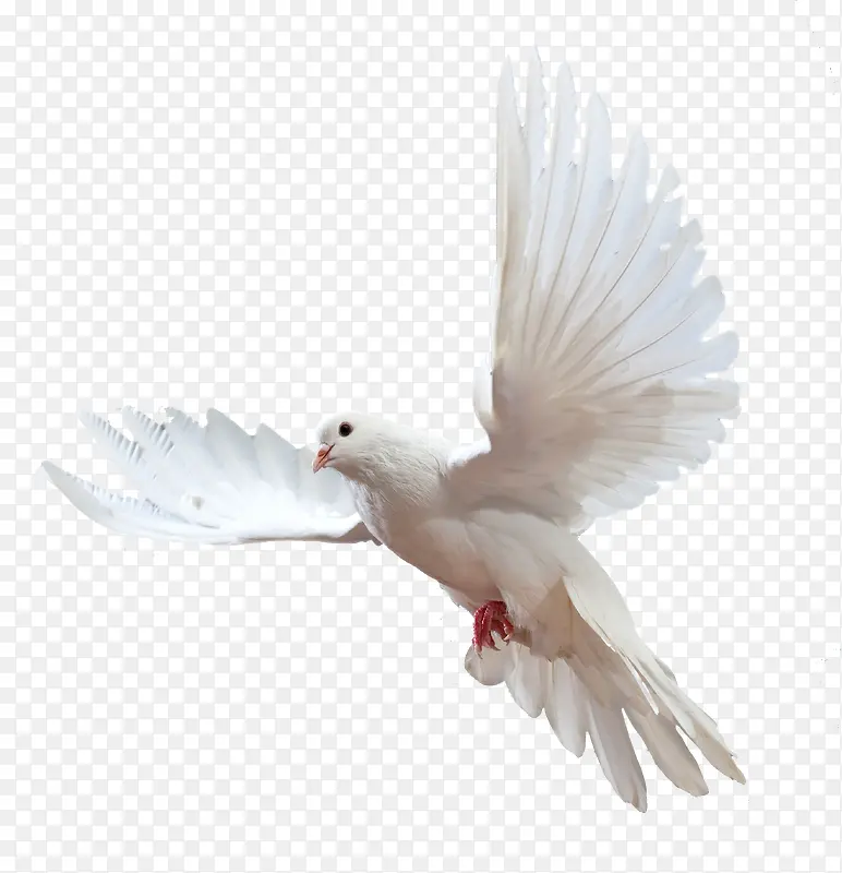 չ�����ĸ��Ӽ�ͼ-������