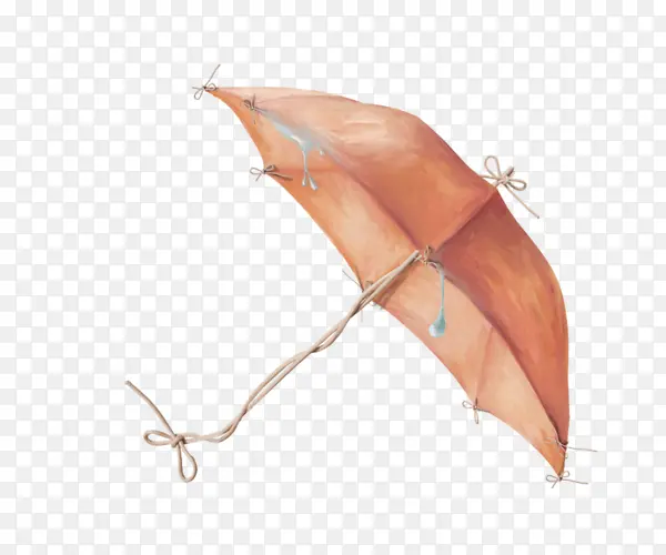 ˮ����ɡ-������