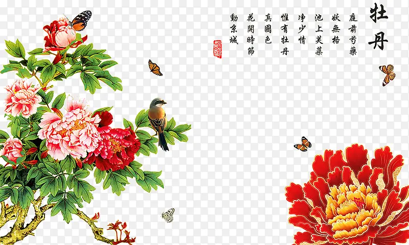 ������������ز�-������