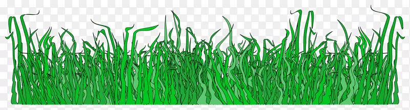 ��ƺ������-��ƺ-������