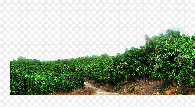 ��ʵ��˶â����-������