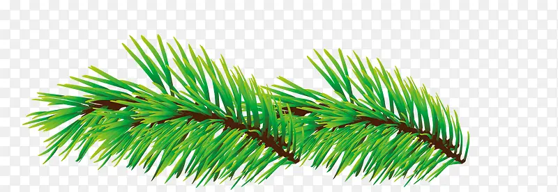 ��ɫ����֦-������