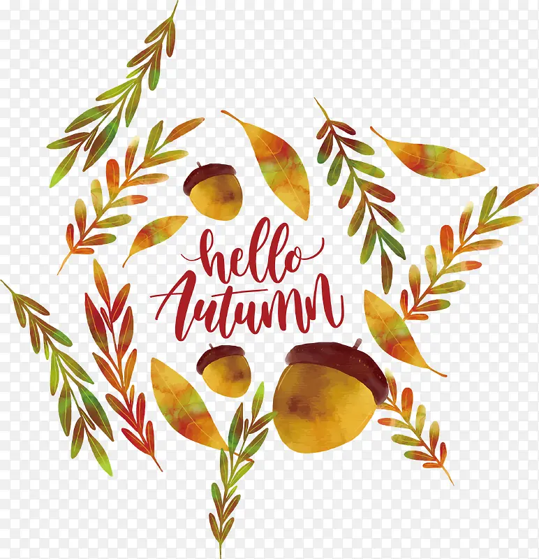 ˮ��ֲ�ﻨ��-������