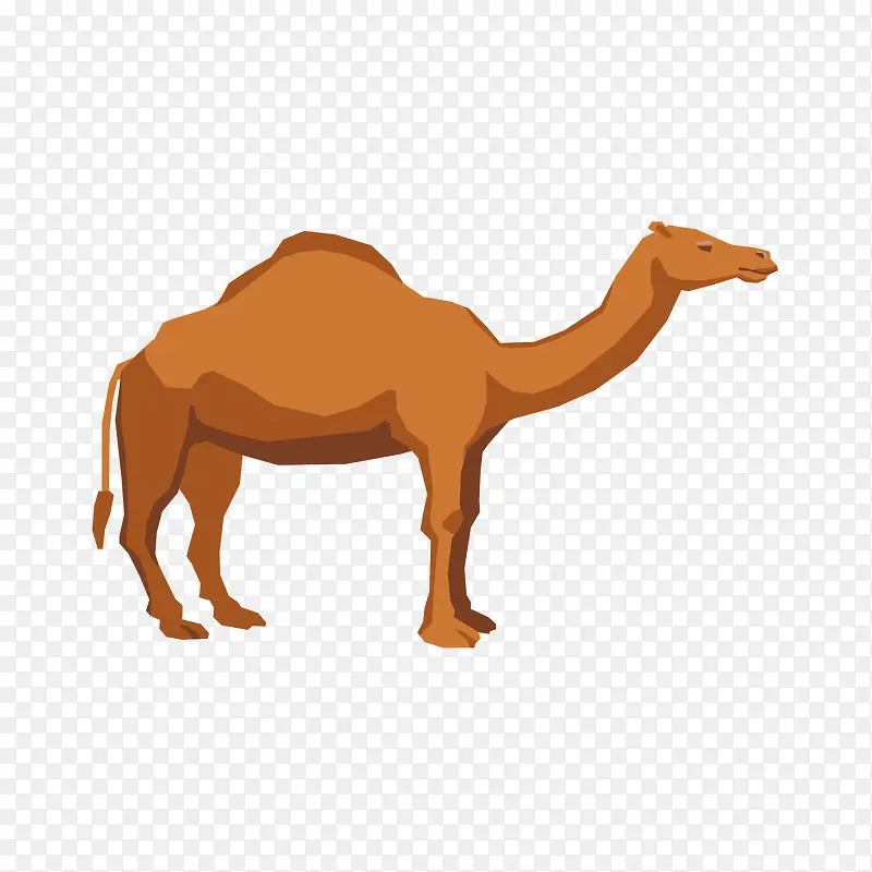 ��ͨ����PNG����-������