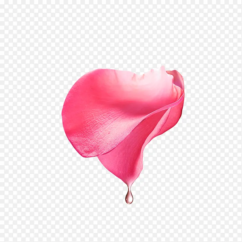 ��ɫ����-������