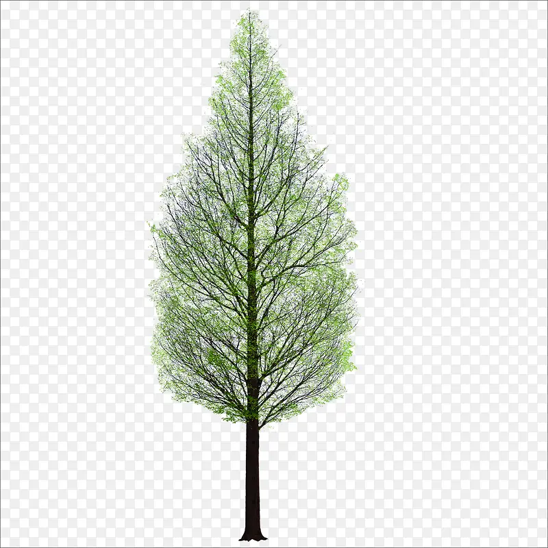 ����-������