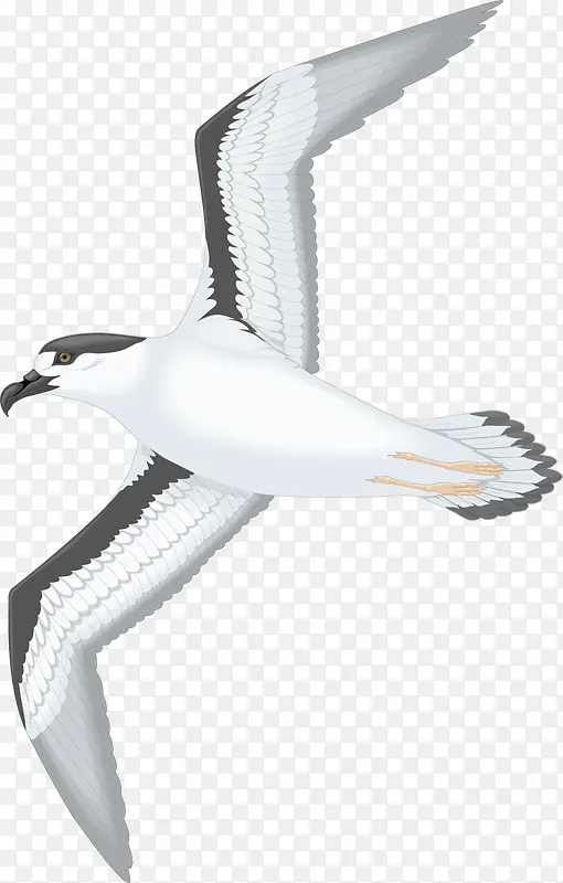 ���е���-������