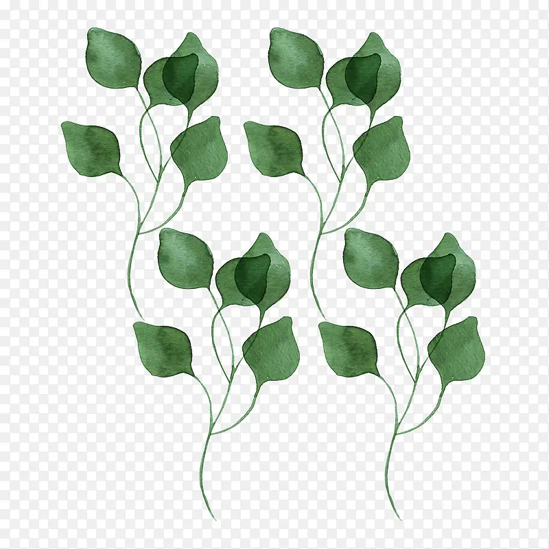 �����ز���Ҷ-������