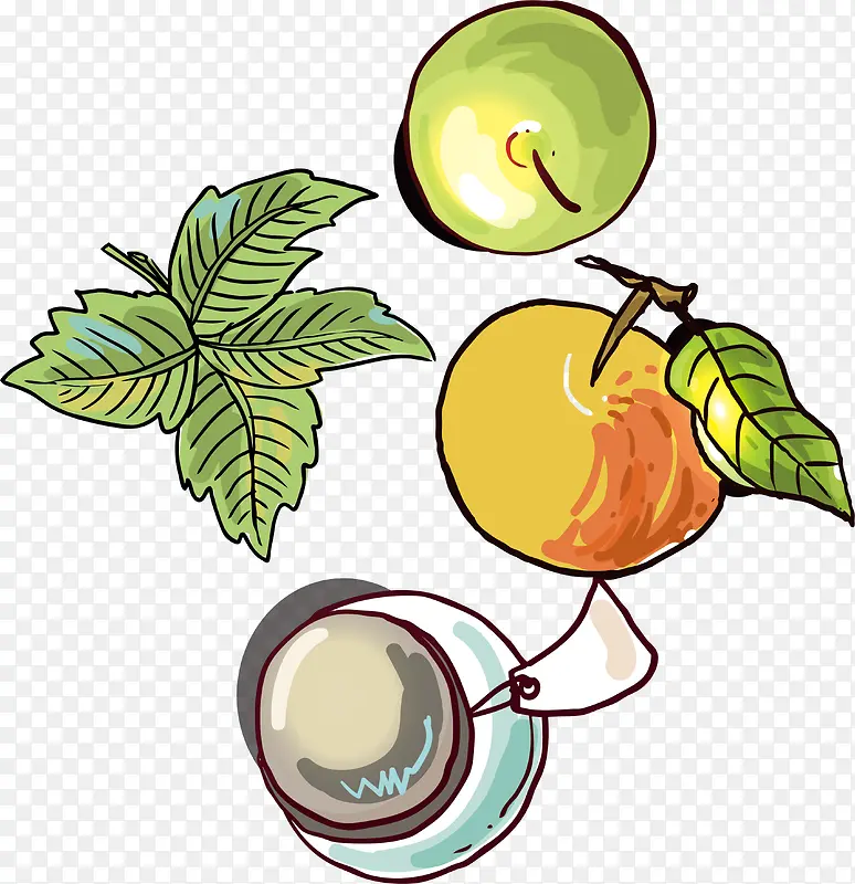 ˮ��ˮ���ֻ���ʳ�ϼ�-������