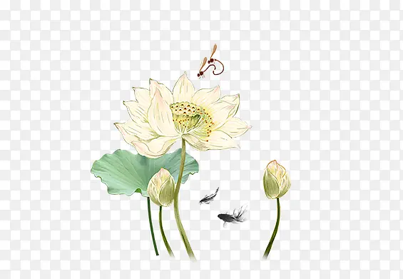 �ֻ�ɻ�-������