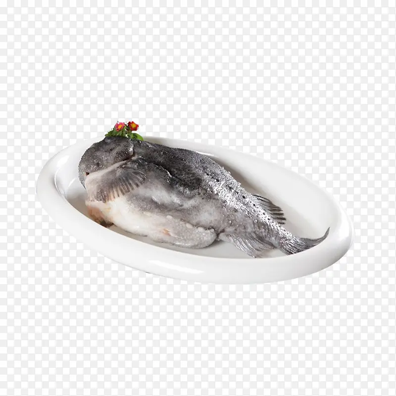 ʵ�� ���ΰ� ����-������