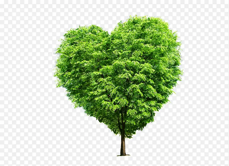 ��-������