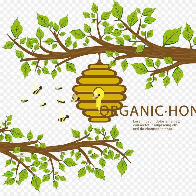 ������֦�ϵķ���ʸ���ز�-������