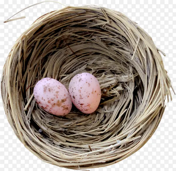 ��֦����-������