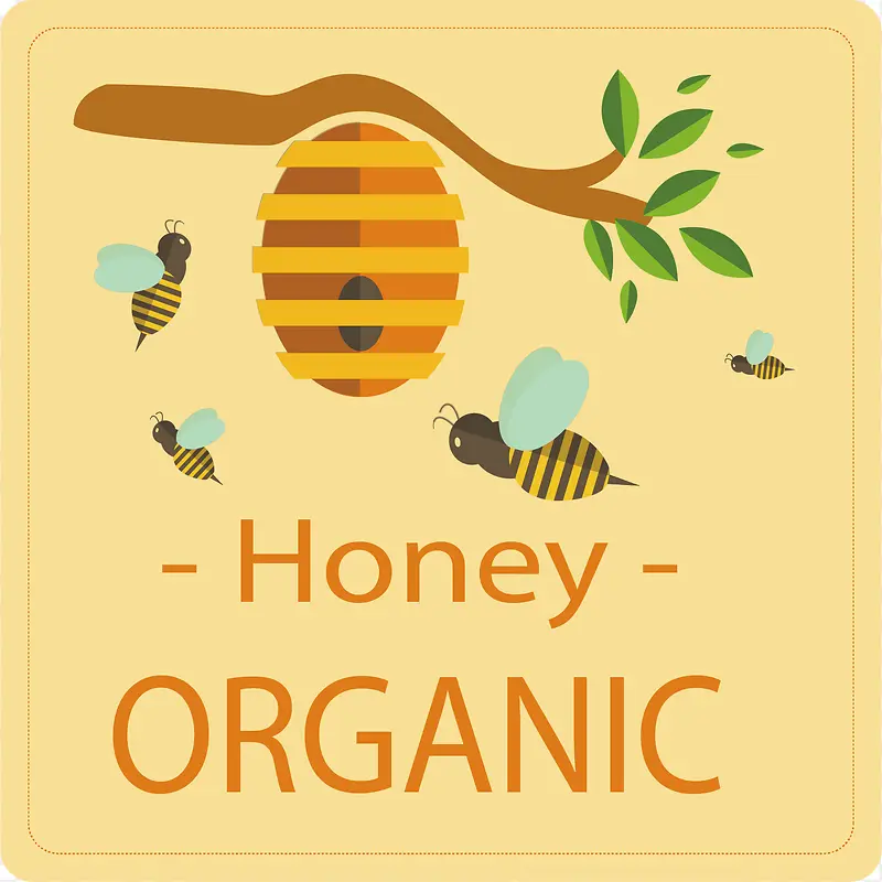 ��ͨ��֦����ˮ�ʻ�ʸ��ͼ-������