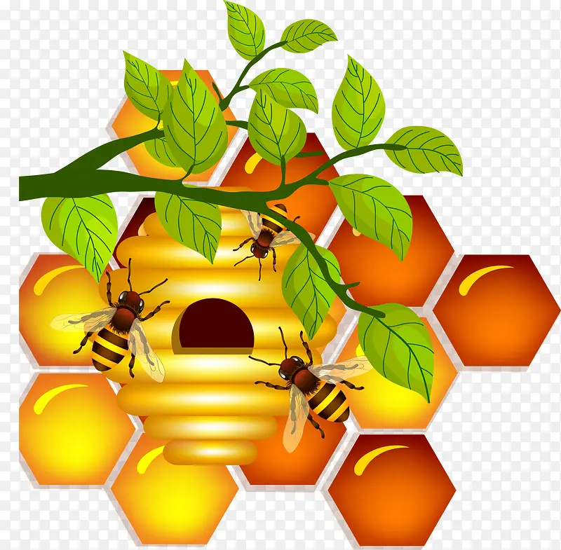 ��ͨ����-������