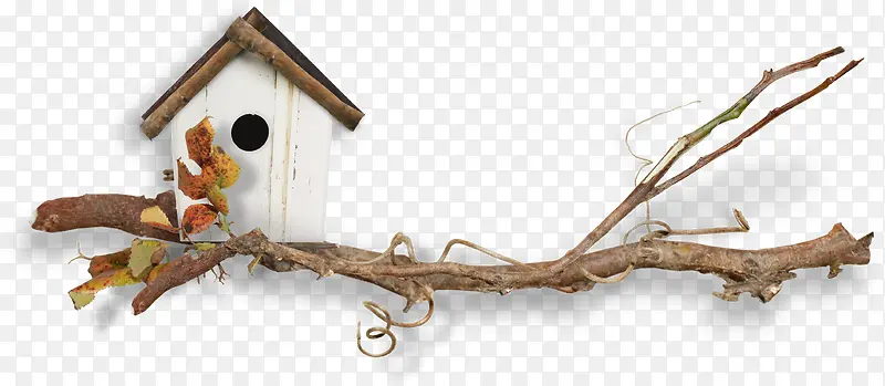 ֦ͷ����-������