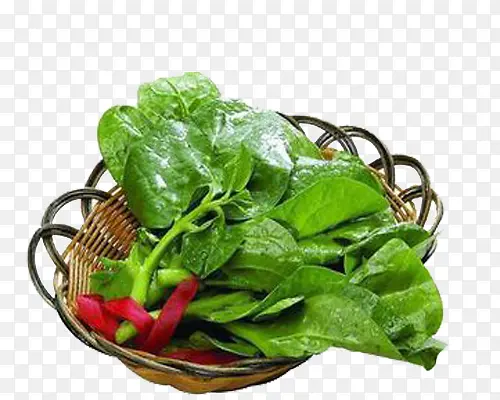 Ӫ���߲�-������