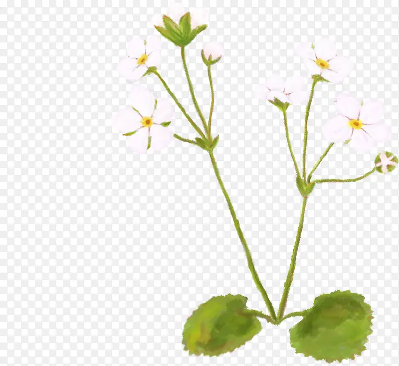 �ֻ���Ҷ��ɫ������-������