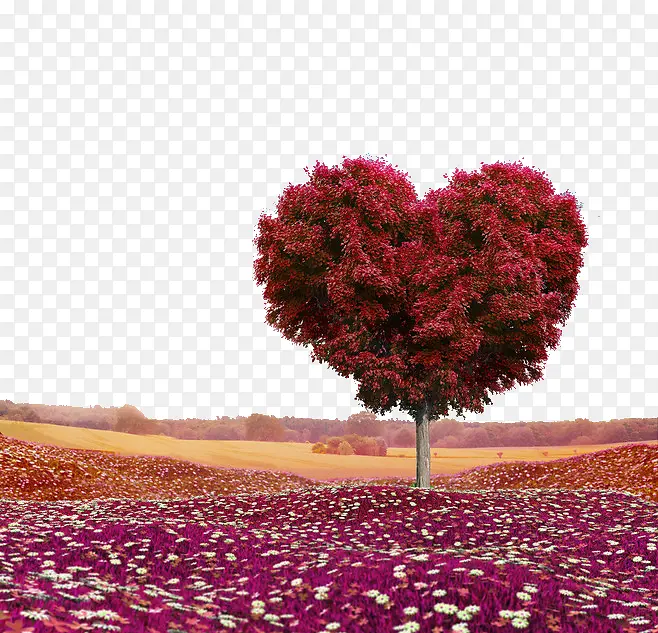 ��ɫ������-������