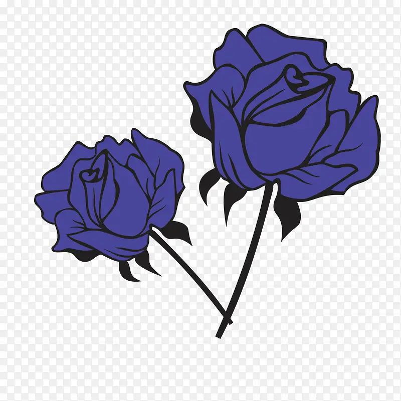 ��ͨõ�屳�����-������