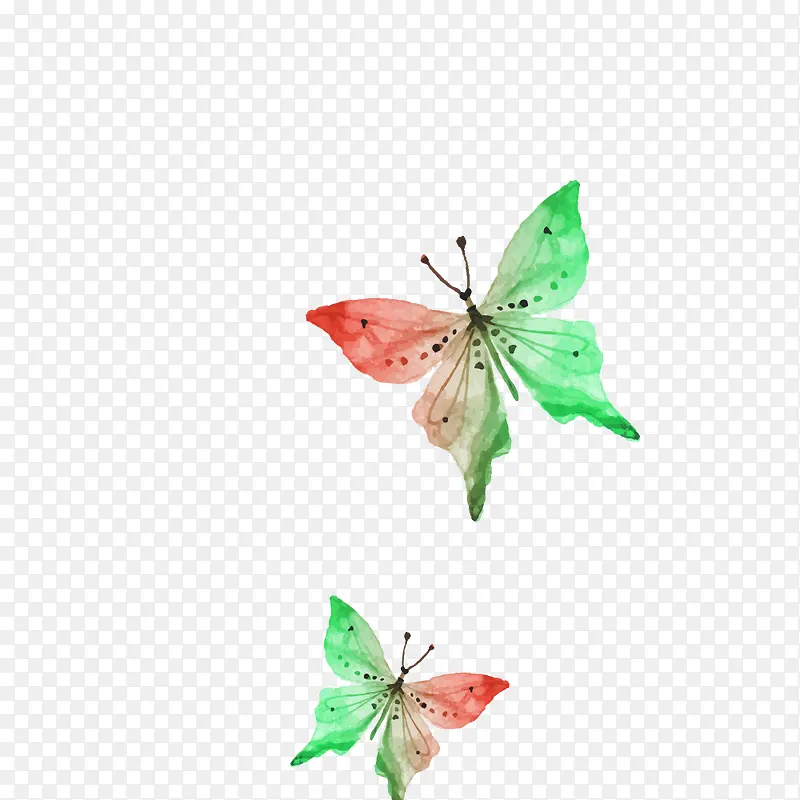 �ֻ����-������