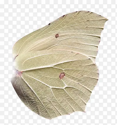 �������-������