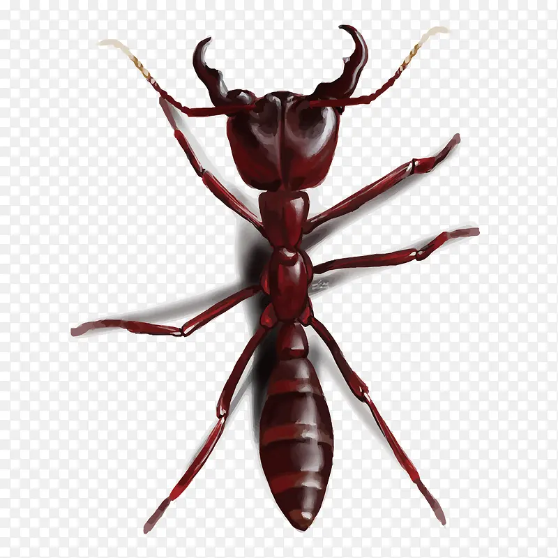 ʸ������-������