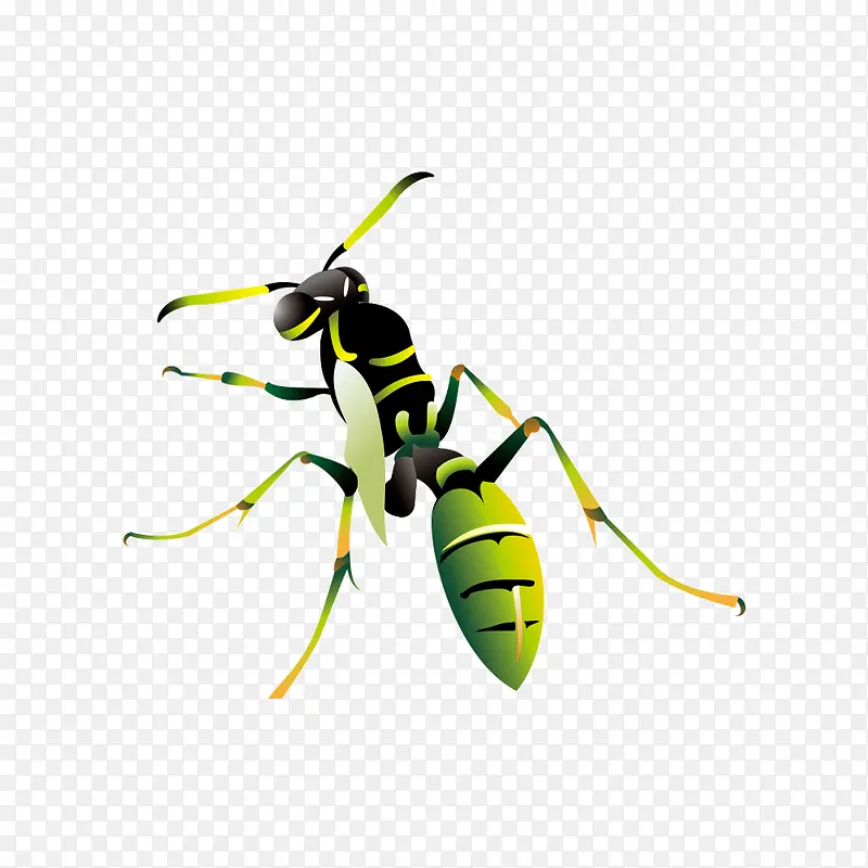 �����ز�-������