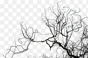 ��֦-������