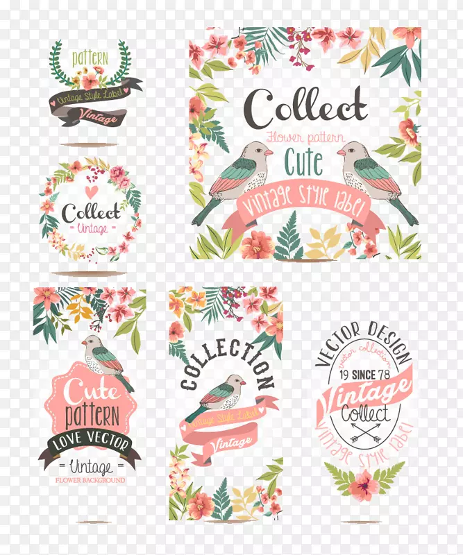 ��ˮ�ʻ��������뺯ˮ�ʻ�-������