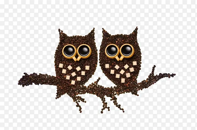 ����èͷӥ���ȶ�-������